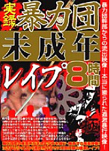 JGFX-001 Sampul DVD