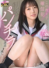 KAVR-463 Sampul DVD