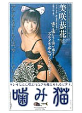 MDI-182 DVD封面图片 