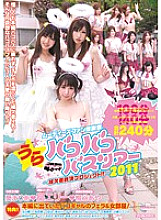 MIAD-532 DVD封面图片 
