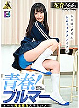 MIBB-006 DVDカバー画像
