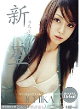 MIDD-182 Sampul DVD