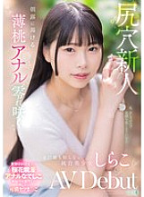 MISM-412 Sampul DVD