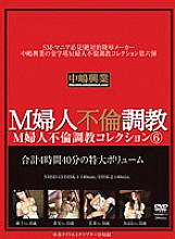NHSD-013 DVD封面图片 