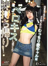 NPJS-243 DVDカバー画像