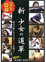 NSK-05 DVD封面图片 
