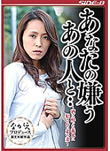 NSPS-676 DVDカバー画像