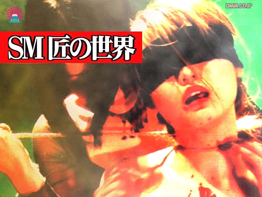 PARAT-084 DVD封面图片 
