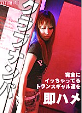 PARATHD-028 Sampul DVD
