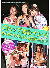 PARATHD-01936 DVD封面图片 