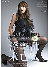 PGD-242 Sampul DVD