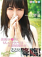 POKA-002 Sampul DVD