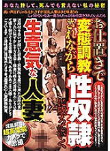 PRMJ-048 DVD封面图片 