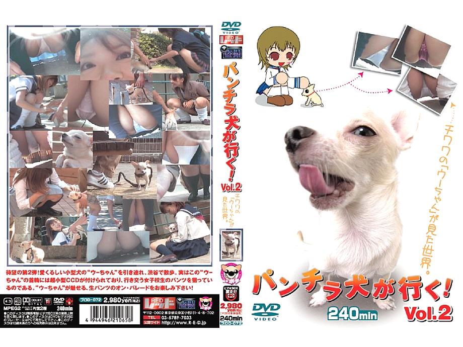 PUROD-072 Sampul DVD