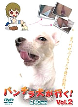 PUROD-072 Sampul DVD