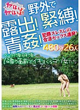 RVG-243 DVD封面图片 
