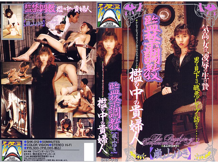 SHK-012 DVDカバー画像