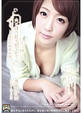 SHKD-464 Sampul DVD
