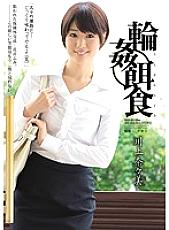 SHKD-661 DVD Cover