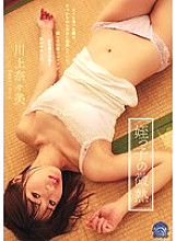 SHKD-778 DVD封面图片 