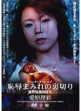 SHKD-248 DVD封面图片 
