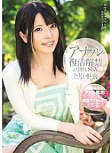 SIB-013 DVDカバー画像