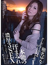 SMT-006 DVD Cover
