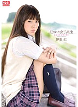 SNIS-345 DVD封面图片 
