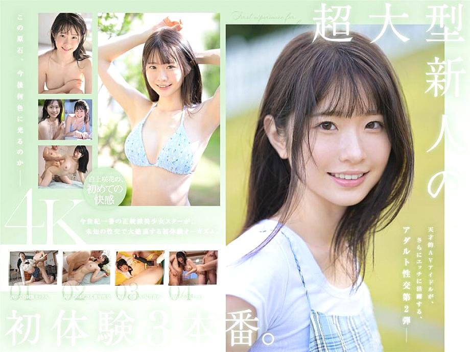 SONE-219 DVDカバー画像