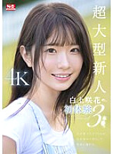 SONE-219 DVDカバー画像