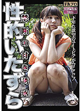 SQIS-086 DVDカバー画像
