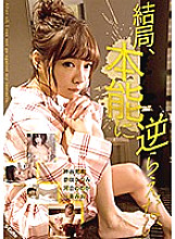 SQTE-258 DVDカバー画像