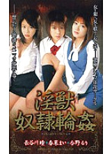 SSP-006 DVD封面图片 