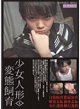 STD-04 DVDカバー画像