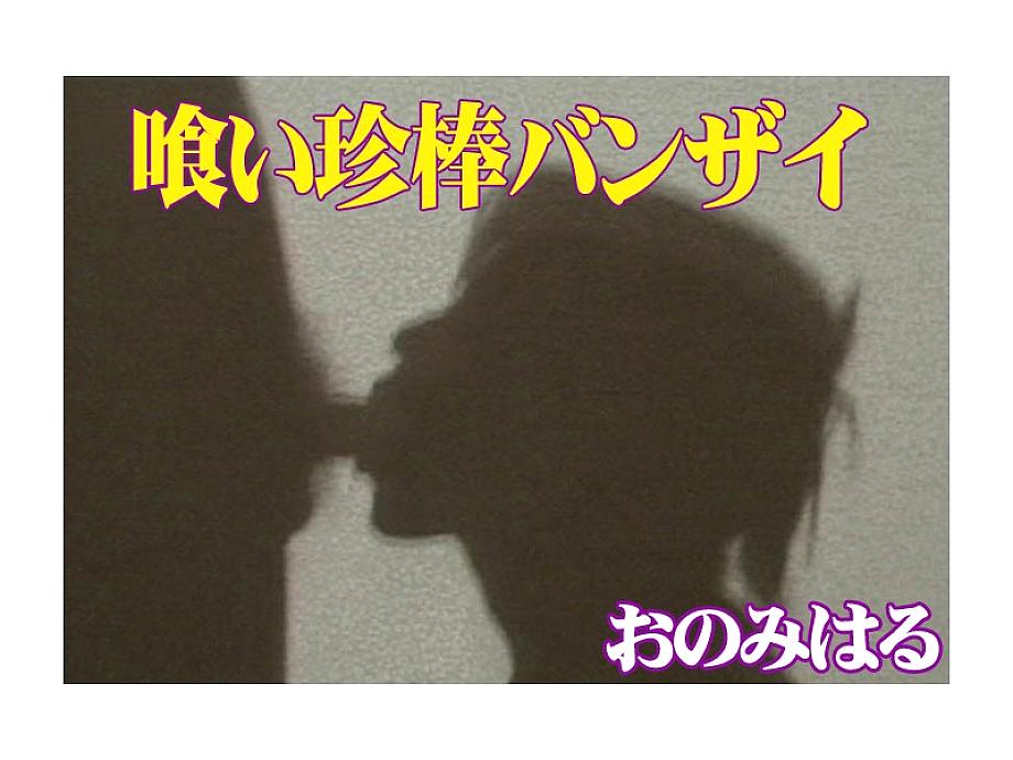 T-338 DVD Cover
