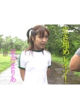 TT-495 Sampul DVD
