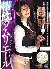 TYSF-033 DVD Cover