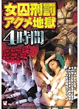 VVVD-029 DVD封面图片 