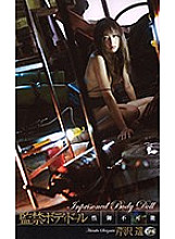 XC-01293 Sampul DVD
