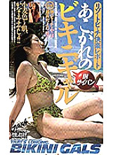 XG-03138 DVD Cover