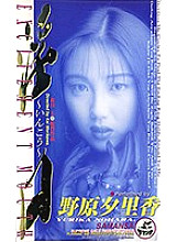 XS-02089 DVDカバー画像