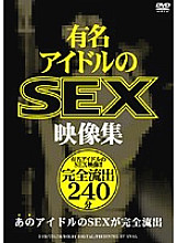 YNVL-001 Sampul DVD