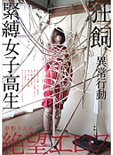 ZBES-034 DVDカバー画像